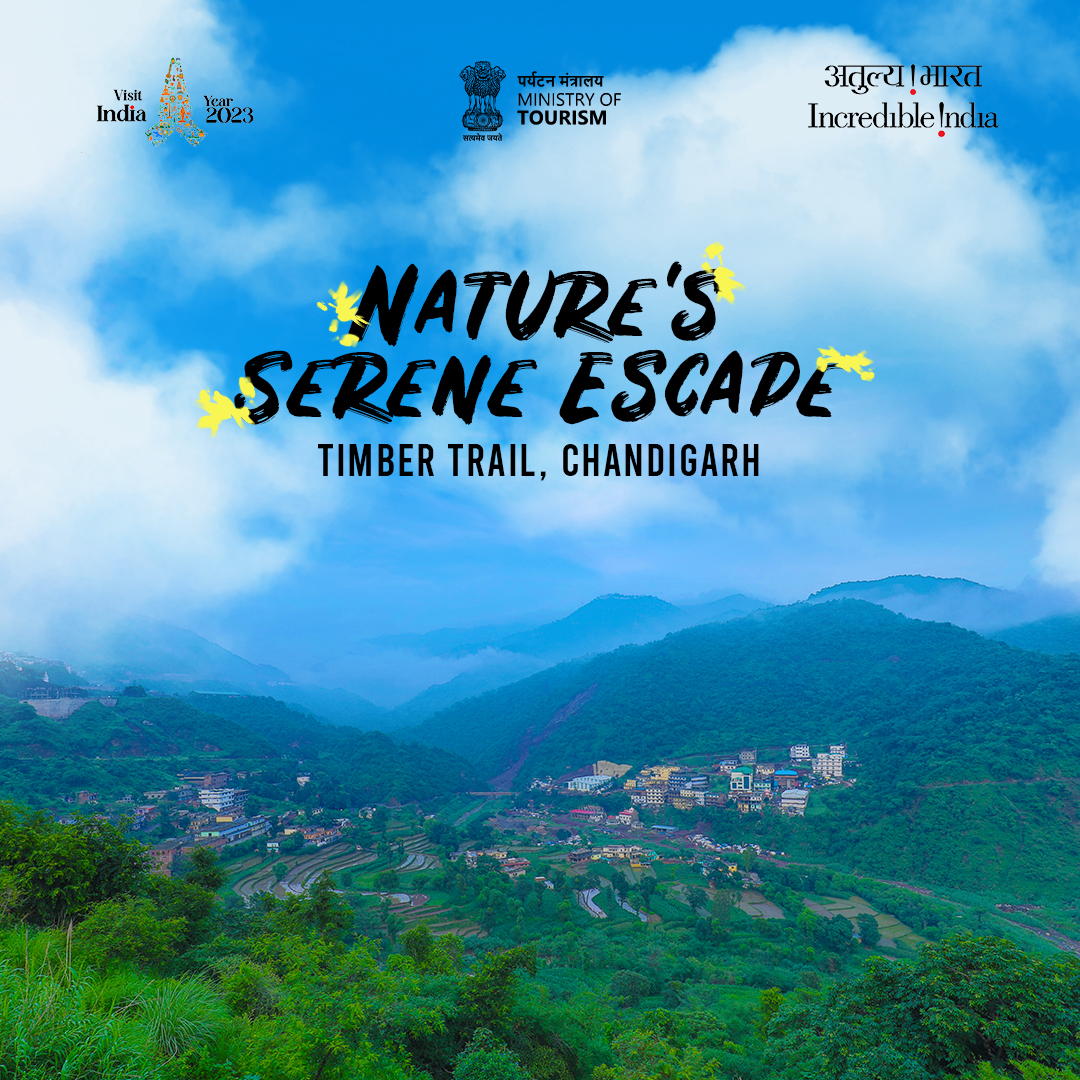 IndiatourismM's tweet photo. Discover the breathtaking beauty of Timber Trail, Chandigarh Nestled in nature's embrace, this scenic destination offers a perfect escape from the hustle and bustle.
#TimberTrail #Chandigarh #NatureEscape #ScenicBeauty #TravelGoals https://t.co/yqTbxIMyhL