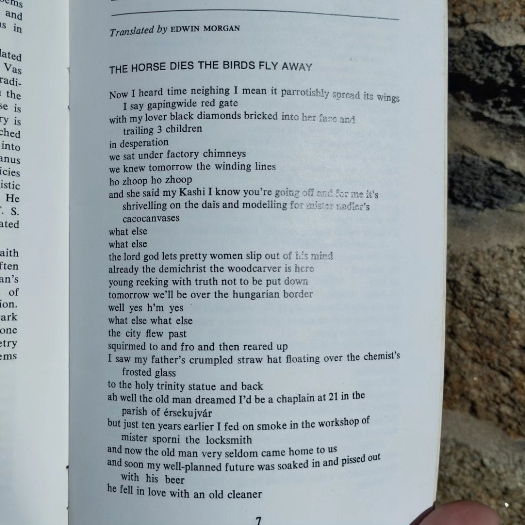 good selection of 🇭🇺 poetry here at CPL --- this pamphlet new in feat. the Edwin Morgan translation of an astonishing Lajos Kassák long poem which doesn't appear in the EM Collected Translations