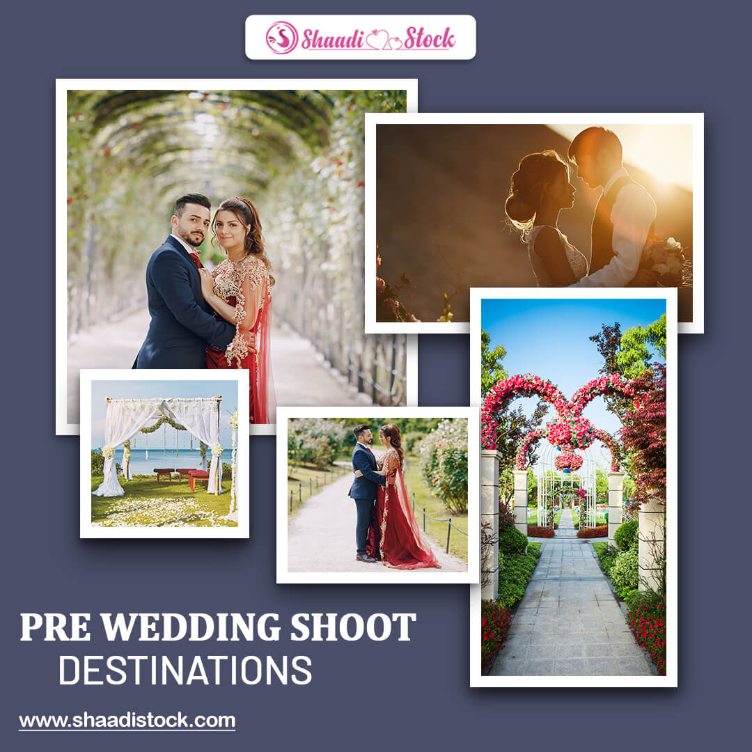 shaadistock's tweet photo. Capture love in timeless settings! Check out our blog on 'Top Evergreen Pre-Wedding Shoot Locations in India. 📸 

Visit below to know more - 

https://t.co/ZynhFWZIqL

.
.
.

.
.

#PreWeddingShoots #IndianDestinations #LoveInNature #Shaadistock https://t.co/TXQrtVRuOu