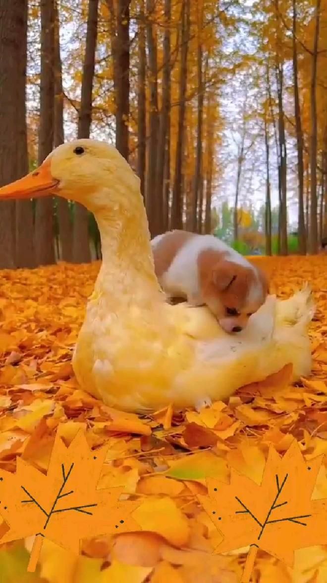💕🍂🌻🌺💕🍂🌻

          Happy Tuesday 

                    💕🍂🌻🌺💕🍂🌻

#picpinterest