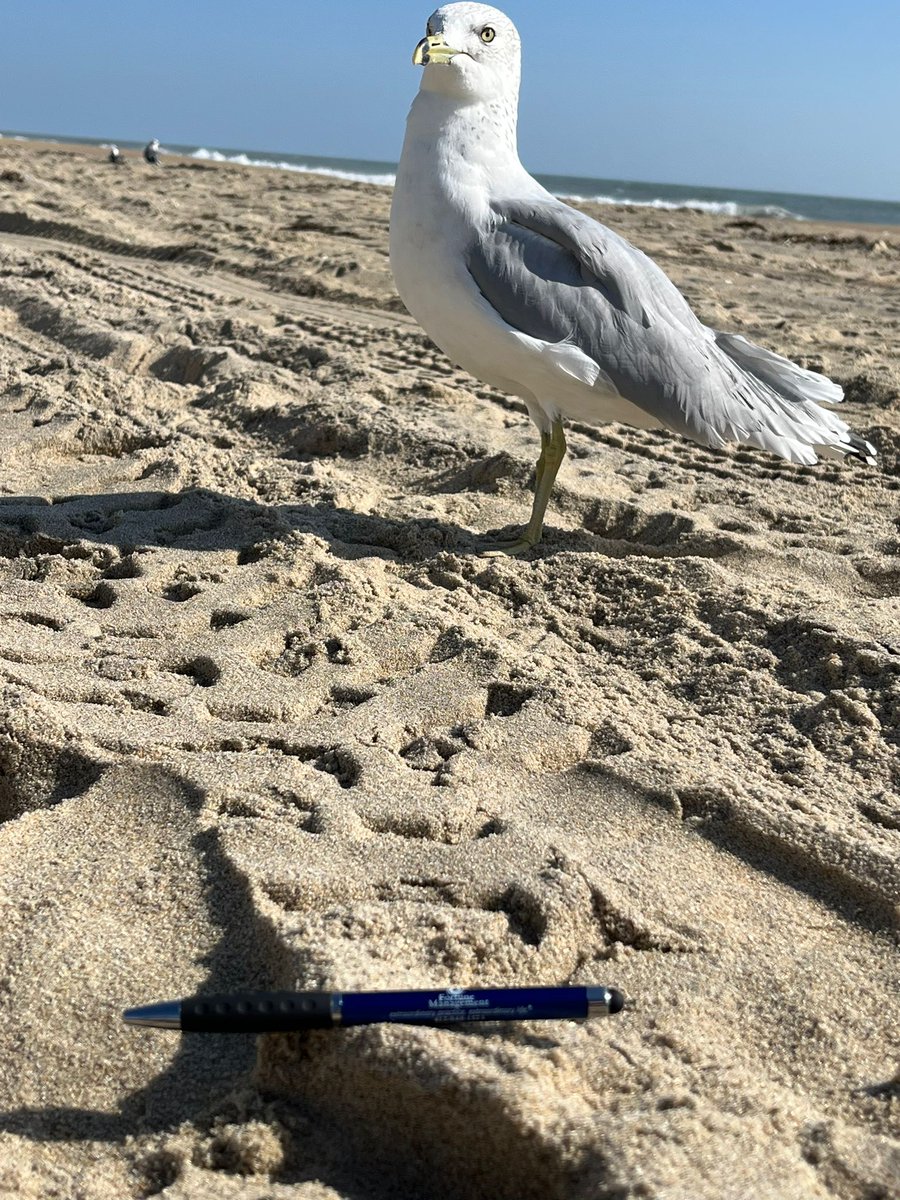 🌊🏖️ Crafting success, one grain of sand at a time. Even our pen finds inspiration by the waves. 🌊 At Fortune Management, we guide dental practices to a tide of success that never recedes. Photo credit: Facial Surgery Center. 📸🌟
#DentalCoaching#PADentists #WVDentists#OHDentist
