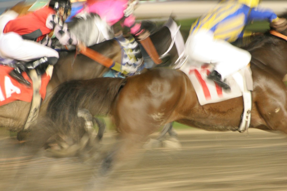 Legislation that governs the horseracing industry should be comprised of regulators that understand and work in the horseracing industry daily, not a hand selected group of elites. The RHSA achieves this novel concept by returning power to the state racing commissions.