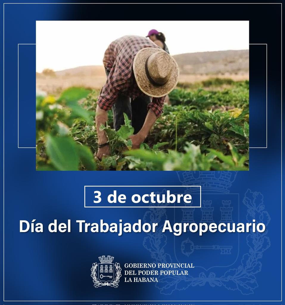 A los trabajadores agropecuarios inmersos en tareas vinculadas con la recuperación del sector y la producción de alimentos. Desde #LaHabanaDeTodos nuestro reconocimiento.