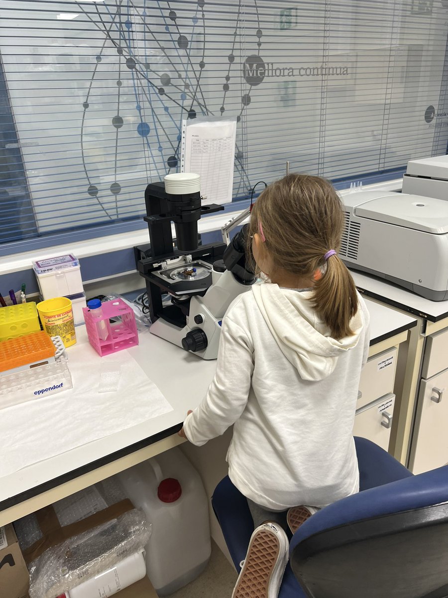 Hoy nos ha visitado el comité cientifico externo de <a href="/FarmaCHUSLab/">FarmaCHUSLab</a> <a href="/FarmaCHUS/">FarmaCHUS</a> para corroborar la calidad de los resultados que presentaremos en unos días en el <a href="/sefhcongreso/">71 Congreso SEFH</a>