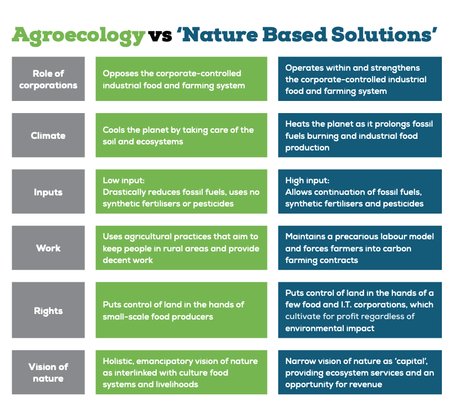 Friends of the Earth International tweet media