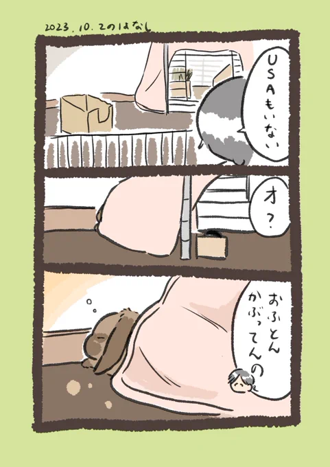 いないUSA

#うさぎのいる生活 