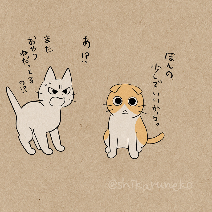 「おやつがほしい ながめるねこ」|しかるねこのイラスト