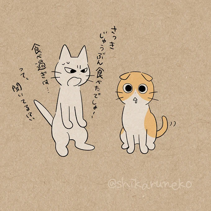 おやつがほしい ながめるねこ