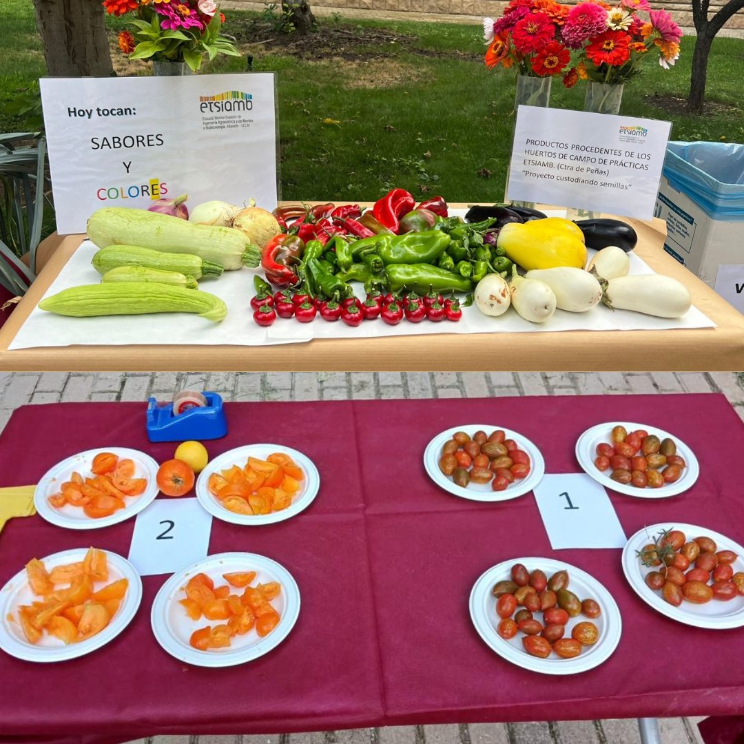 EtsiamAb's tweet photo. 🍅🌱 La UCLM ha sido el escenario de la primera reunión de la "Red Española de Carotenoides III", un encuentro que reunió a científicos de diversos centros de investigación y universidades.

Sigue el hilo ⬇️ https://t.co/7LDCgQ17Hq