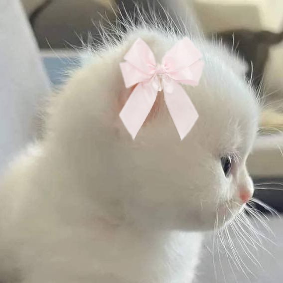 NoahCherokee's tweet photo. #RebeccaLOrealLabTour
小宝贝今天加油哦，mami会一直给你鼓励加油
baby come on. Mami is  together with you .
xiaomaomi https://t.co/lr8bPrkNvO