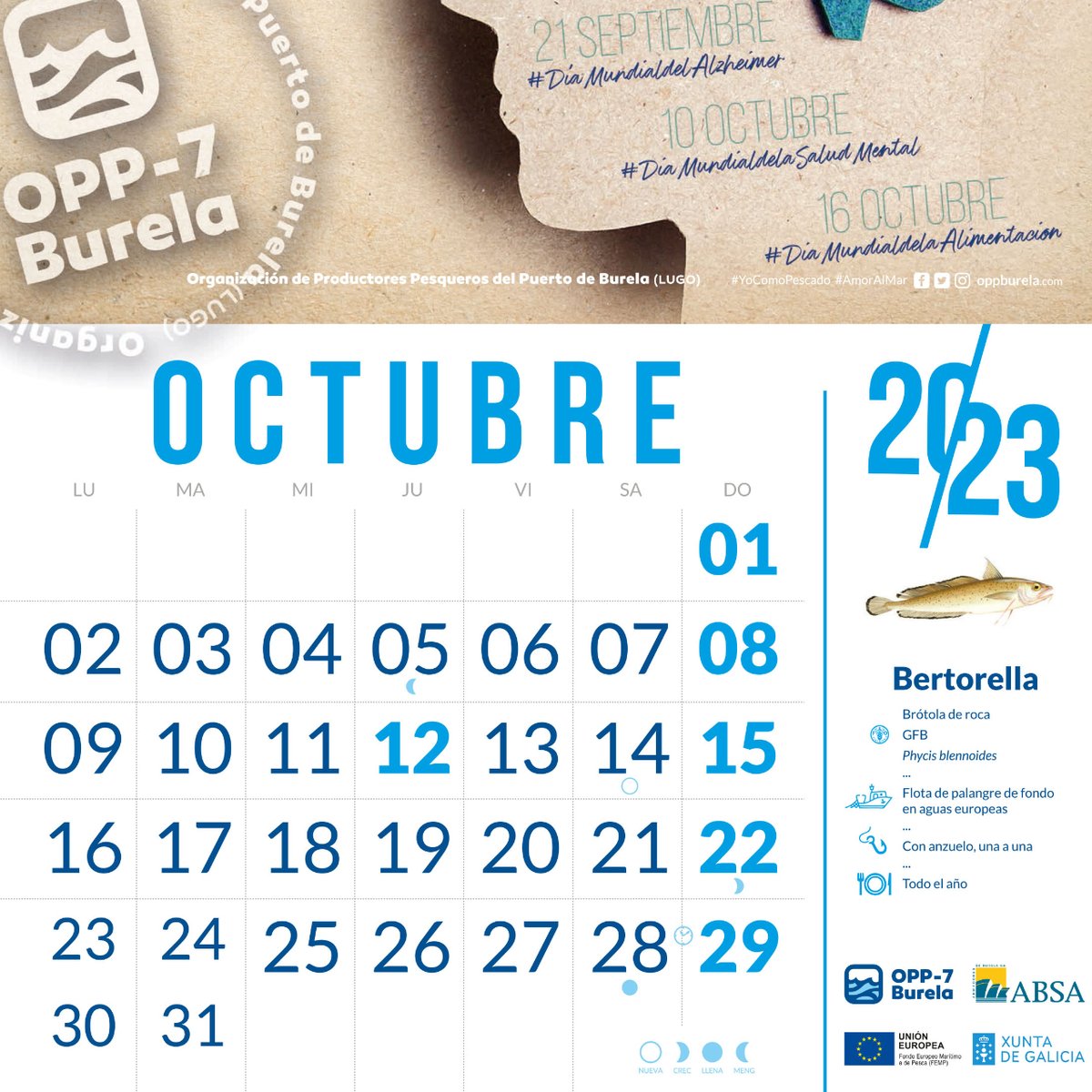oppburela's tweet photo. En #Octubre: BERTORELLA (Phycis Blennoides / GFB), también conocida como Brótola de Roca, Lorcha o Barbada de altura; que pesca con anzuelo una a una nuestra flota de palangre de fondo en aguas europeas durante todo el año.
@pescaespana @come_pescado @MarXunta @cepesca @burelafs https://t.co/RWMpLDugkG