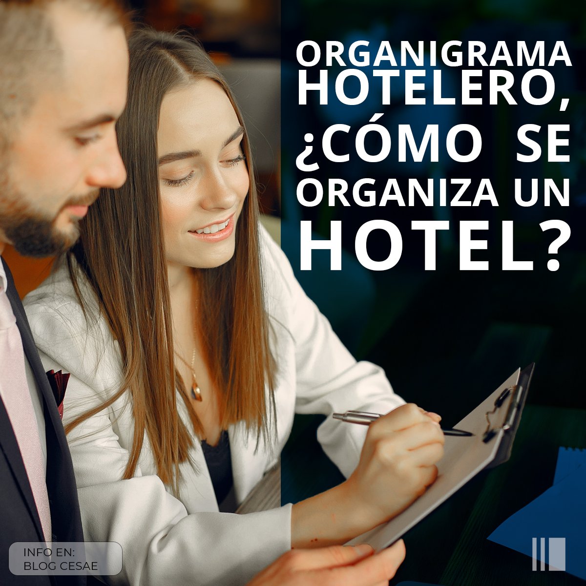 cesaeformacion tweet media