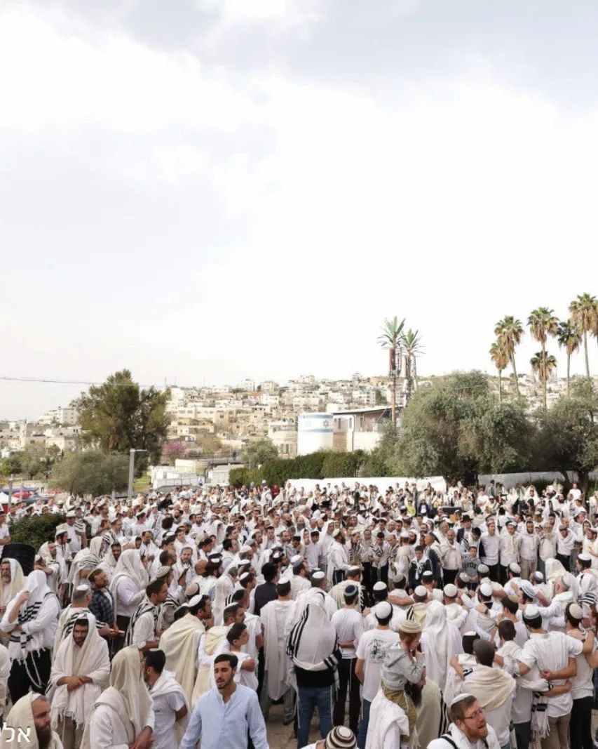 ain_khalel's tweet photo. صور: المسجد الابراهيمي يُدنسه مئات المستوطنين صباح اليوم. ويعد هذا أكبر اقتحام للمستوطنين للمسجد الابراهيمي في مدينة الخليل. https://t.co/G2d9I4D1zp
