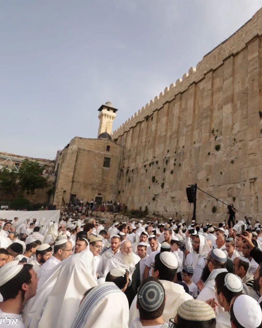 ain_khalel's tweet photo. صور: المسجد الابراهيمي يُدنسه مئات المستوطنين صباح اليوم. ويعد هذا أكبر اقتحام للمستوطنين للمسجد الابراهيمي في مدينة الخليل. https://t.co/G2d9I4D1zp