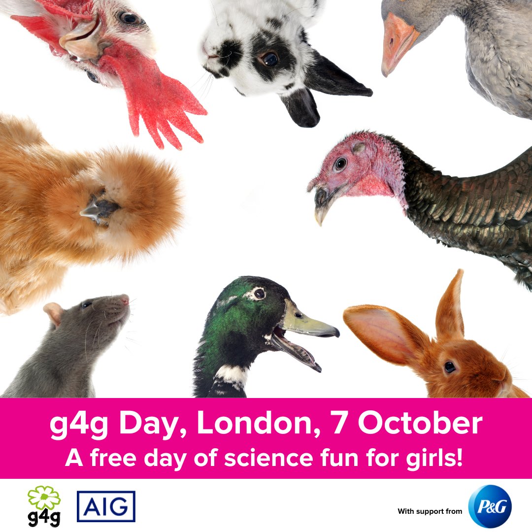 We’re going quakers for g4g Day, London! For those who are interested in animals, you don’t want to miss this. We'll be joined by animal experts who will be leading a workshop on how #STEM can benefit our furry friends 😺😻

Register 👉bit.ly/3r7zPy6

#anythingispossible