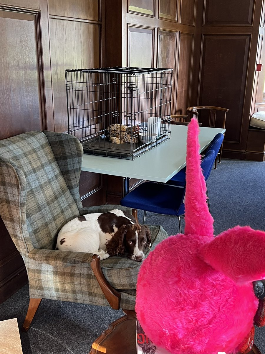 Ben McCarey | Holyport College tweet media