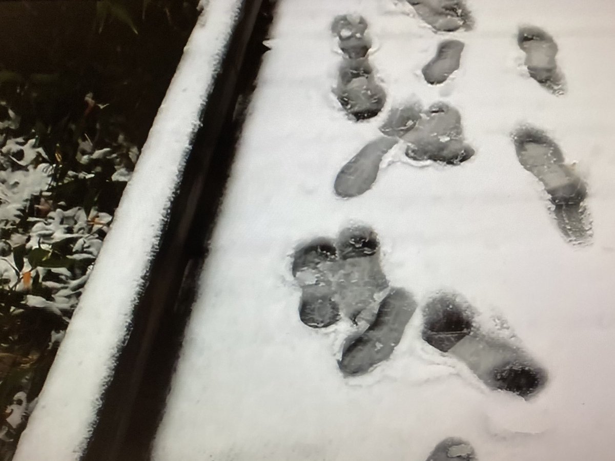 ka10no's tweet photo. 旭岳が初雪。
これが来ると北海道の冬はやってくる。 https://t.co/K54JKfPPCk