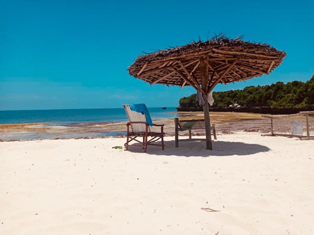 ToAfriKa1's tweet photo. Looking to tour East Africa? ToAfrika Safaris is your ideal travel partner.

For bookings: 
📲+254 – 748 717 387
📧info@toafrika.com

#visittanzania #magicalkenya 
#exploreuganda #wildlife #safari #adventure #travel #tourism https://t.co/fqhjaq7XaS