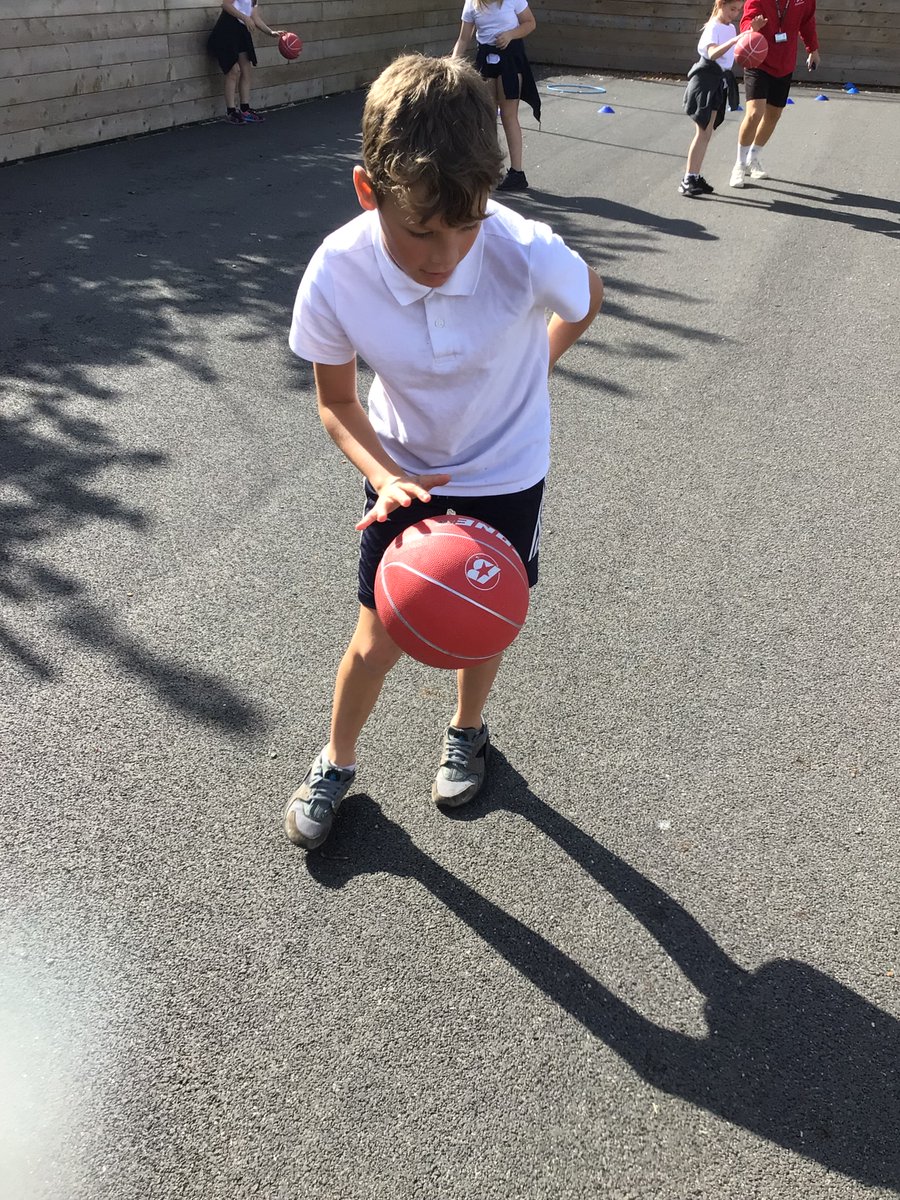 Starcross School tweet media