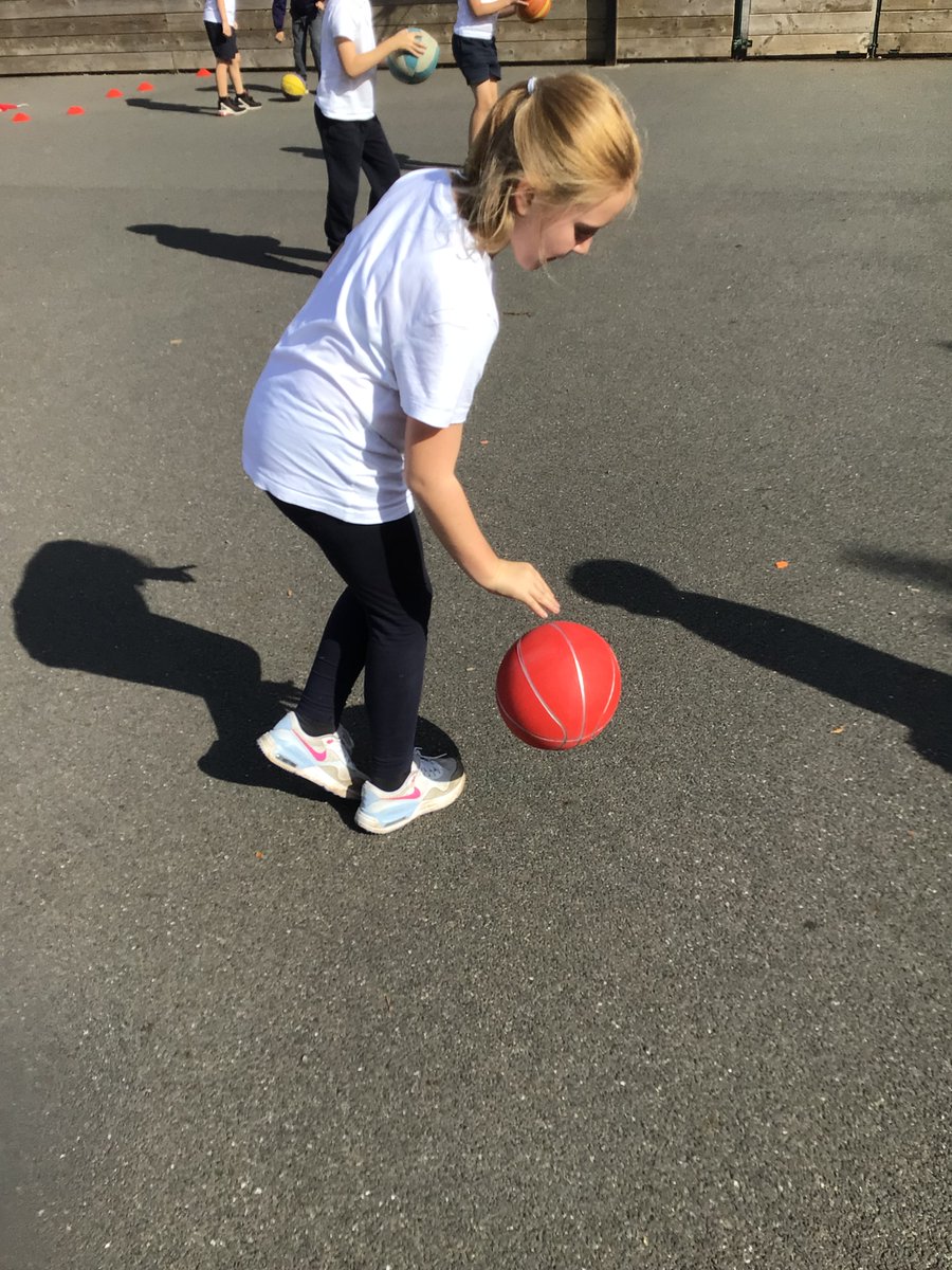 Starcross School tweet media