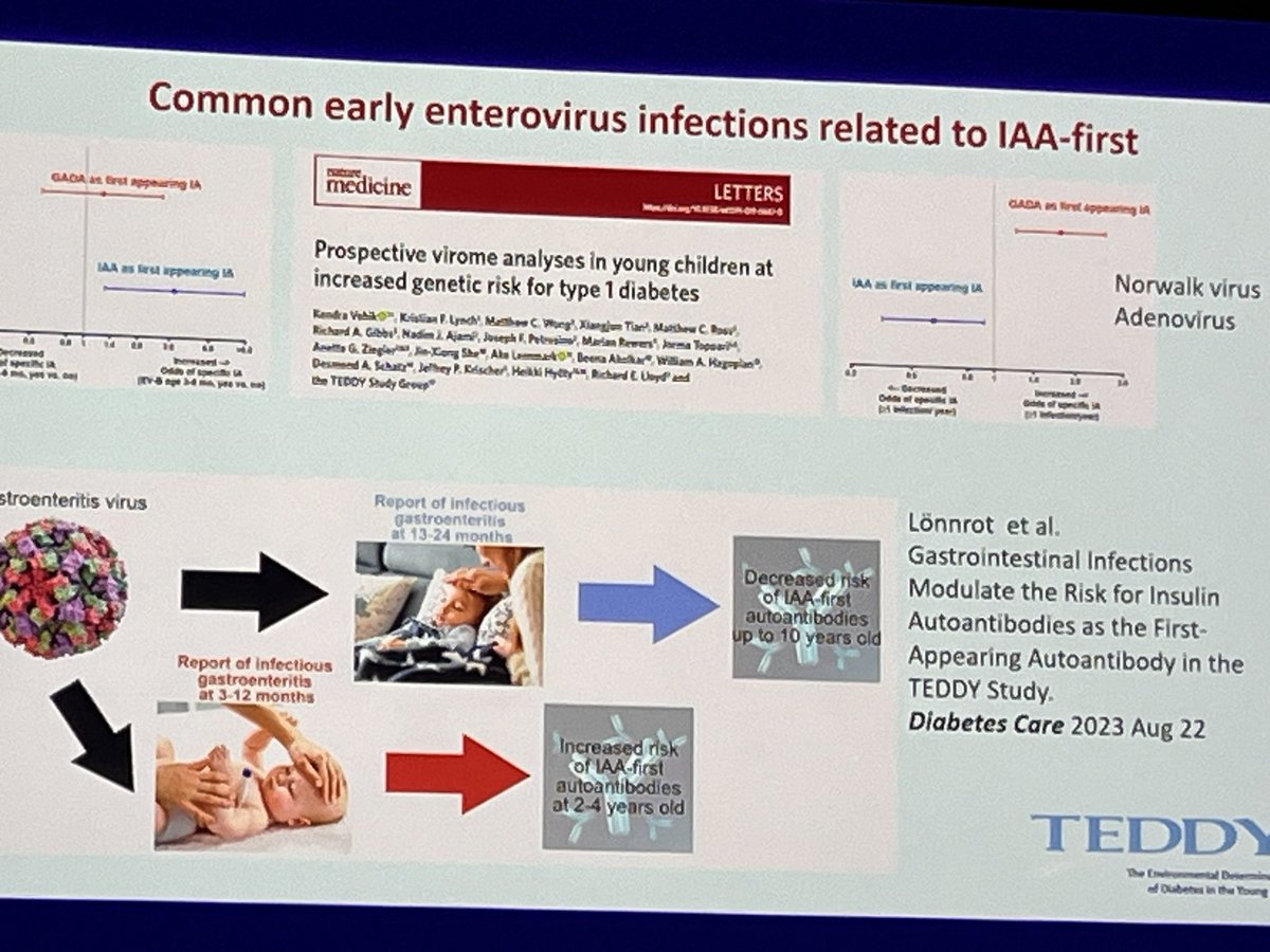 Hannah Beba tweet media