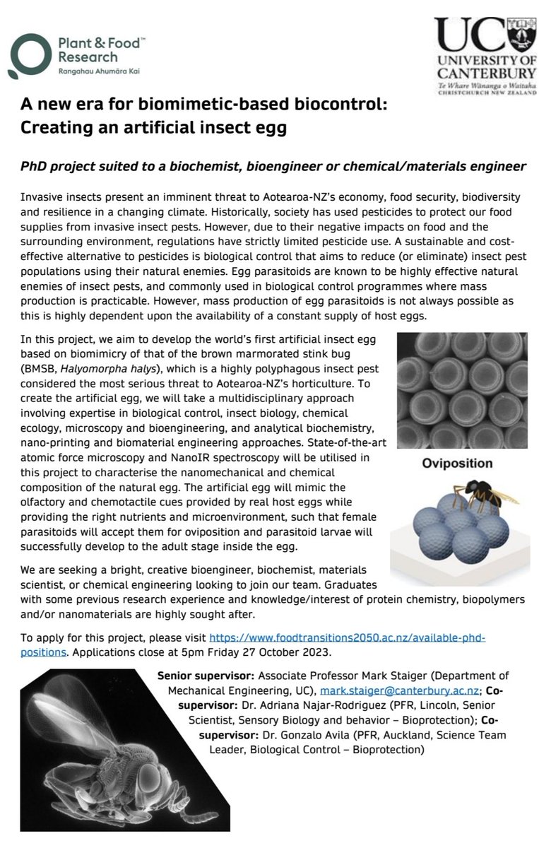 GonzaloAvilaNZ's tweet photo. Have a full PhD scholarship available on a @MBIEgovtnz #SmartIdea project looking at developing an artificial egg prototype for #BMSB to rear #Tjaponicus - based at @UCNZ. Project suited to a biochemist, bioengineer or chemical/materials engineer. Interested? Get in touch soon! https://t.co/4OCJ2bJwFP