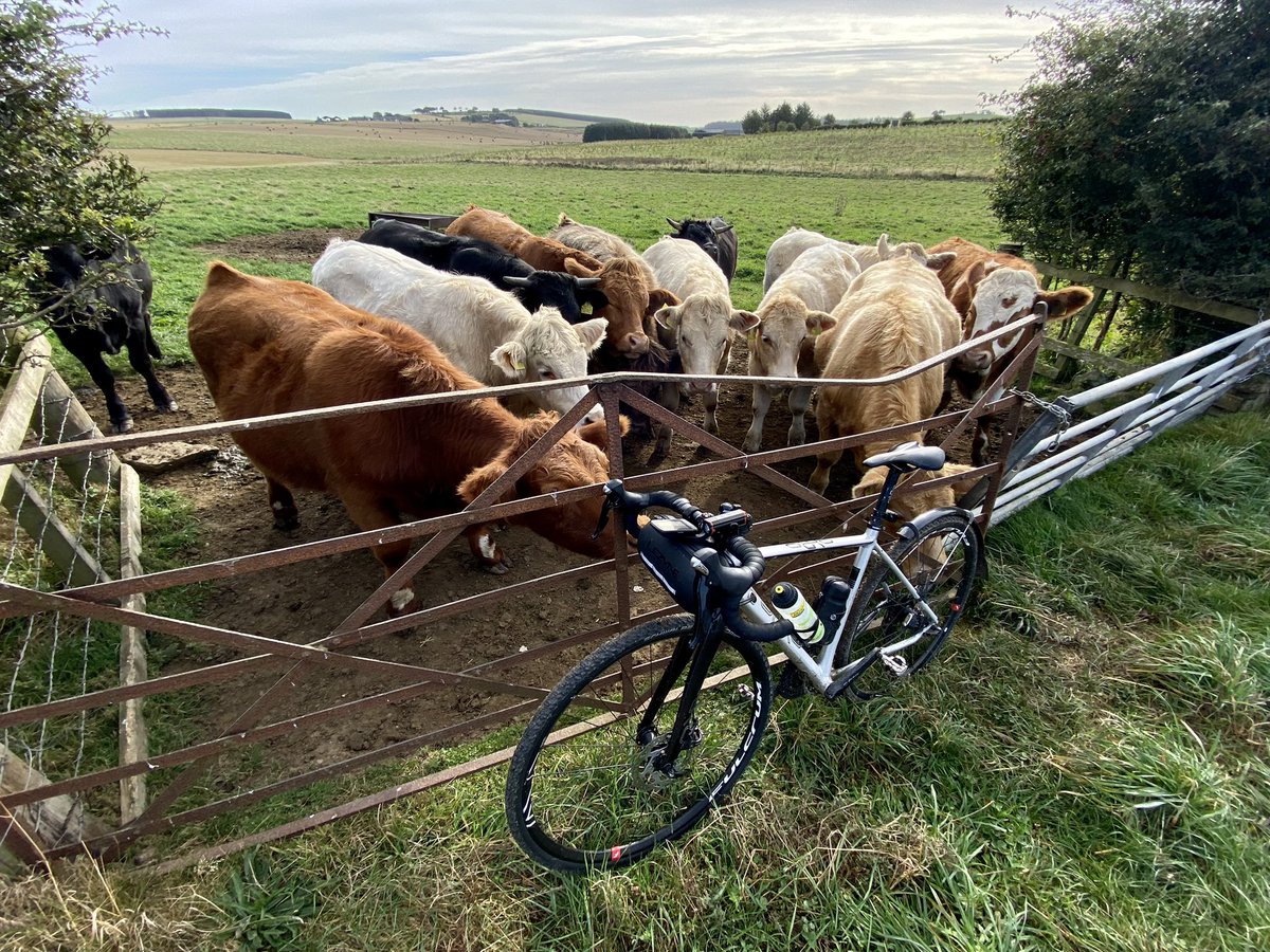 RosscoPossil's tweet image. Formartine @ Buchan Way, 50mi of non traffic safe active paths between ABZ &amp;amp; Fraserburgh. @GCP_JustGoRide @ride_the_north @abdnshcyc it’s already mind blowing just because it exists, but imagine some money spent on it. Lovely way to traverse the Grampian farming belt ❤️
