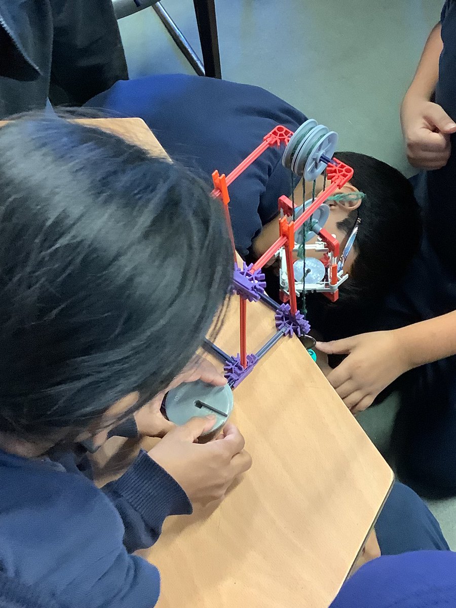 Halley Year5 tweet media