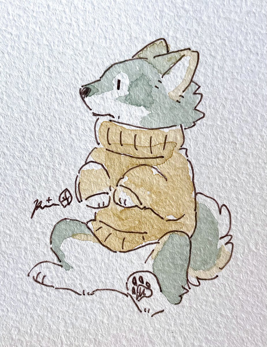 sweater solo sitting traditional media signature furry tail  illustration images