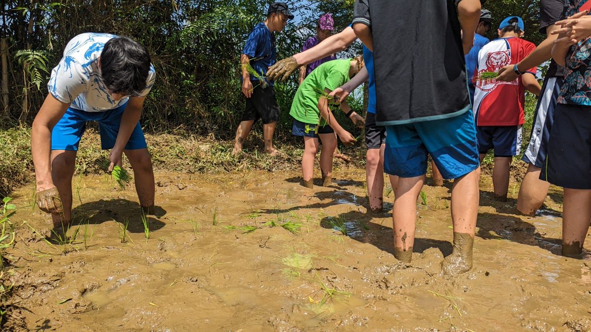 UNIS_Hanoi's tweet photo. From paddleboarding in stunning lakes to cycling through the quiet Vietnamese countryside, to enjoying martial arts performances or working on projects that enhance the lives of local communities, our Secondary School explorers are living the best time of their #WeekWithoutWalls! https://t.co/7ujKIJWE2w