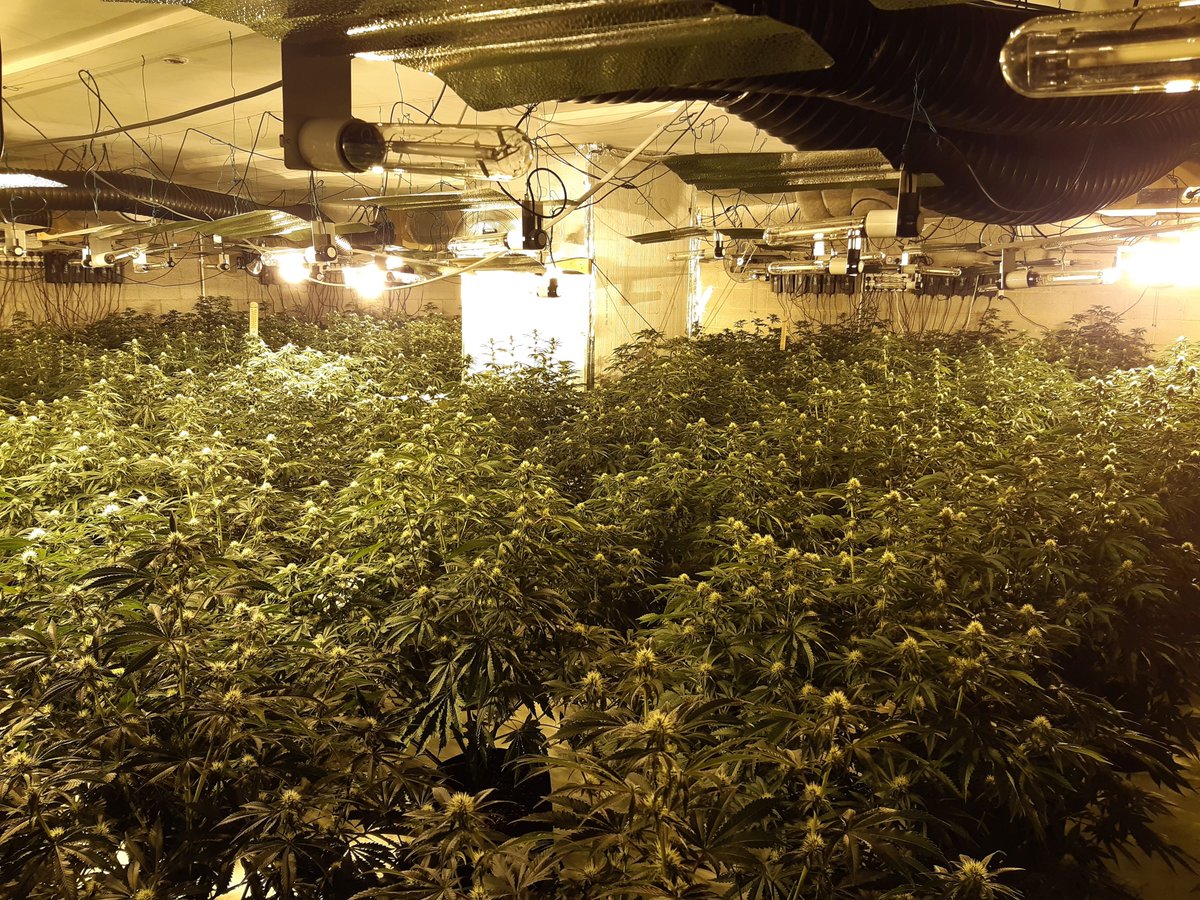 Macclesfield Police tweet media