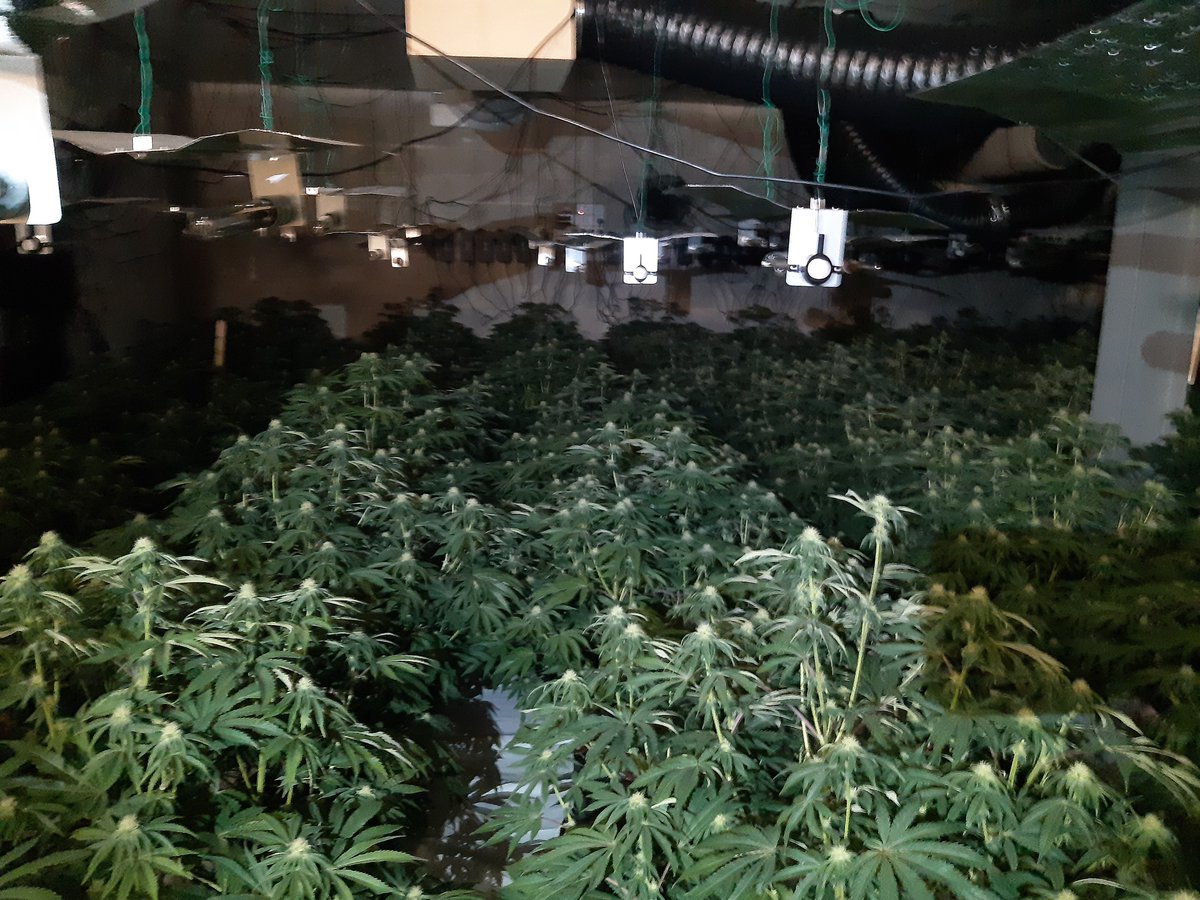 Macclesfield Police tweet media