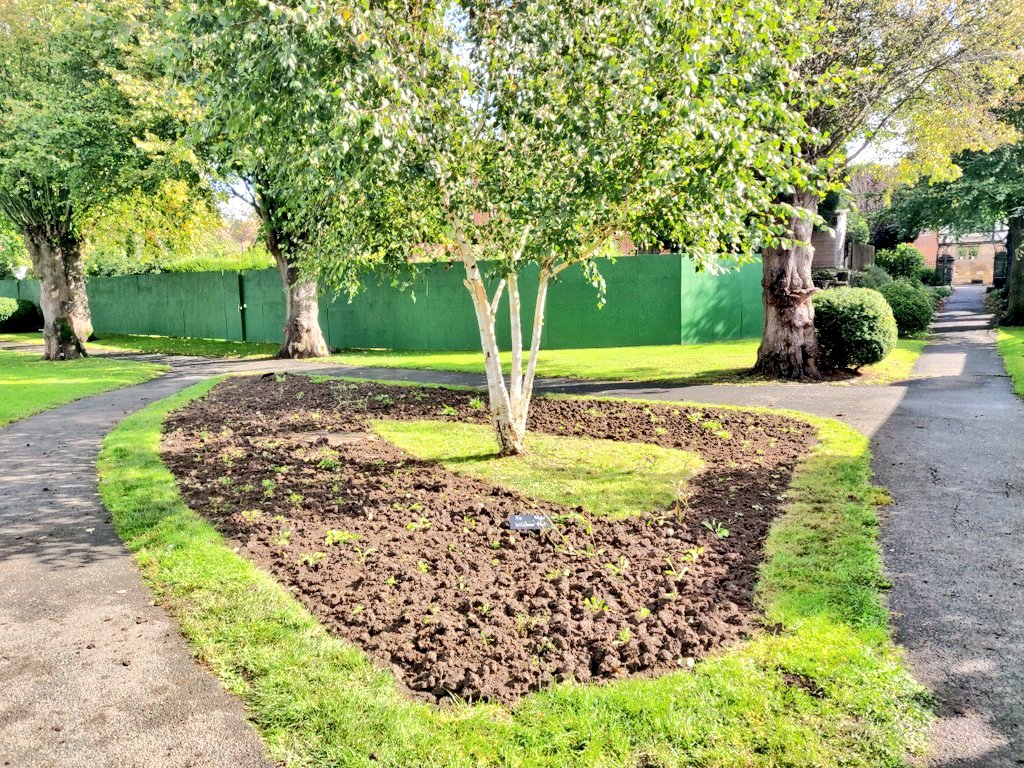 53 Church Street tweet media