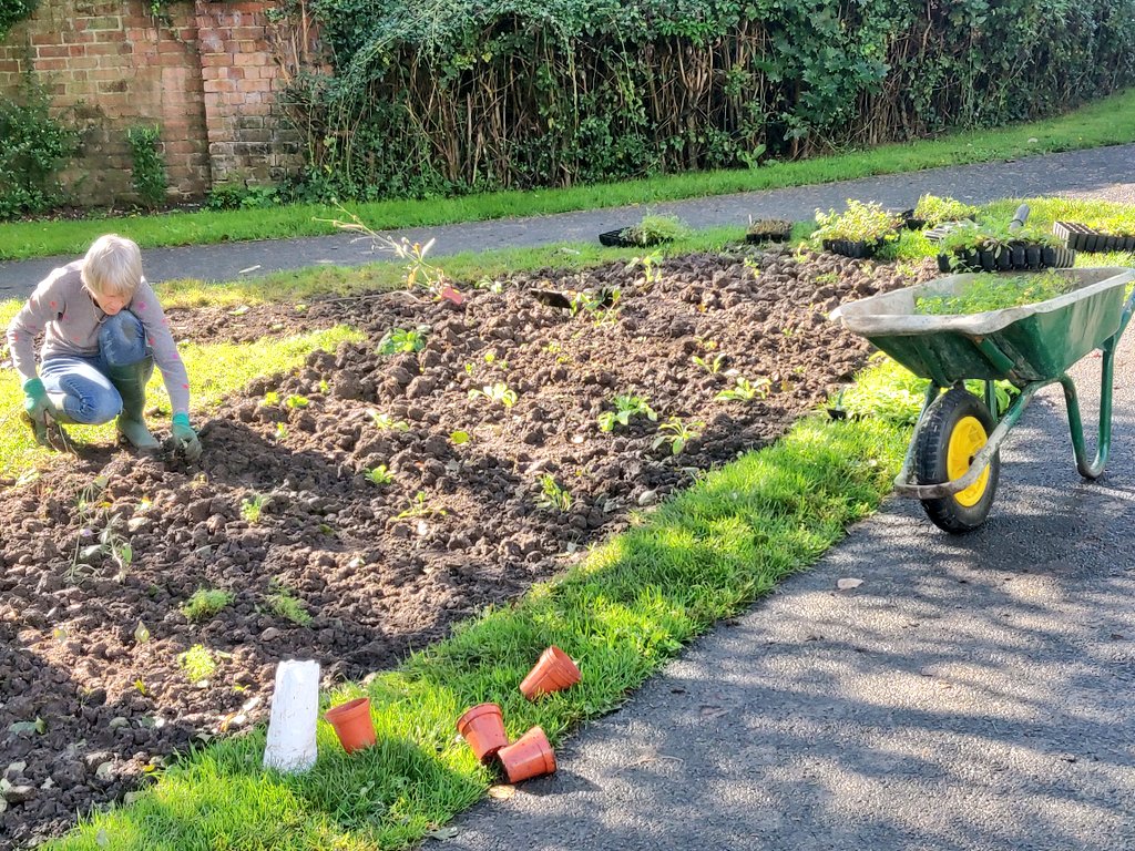 53 Church Street tweet media