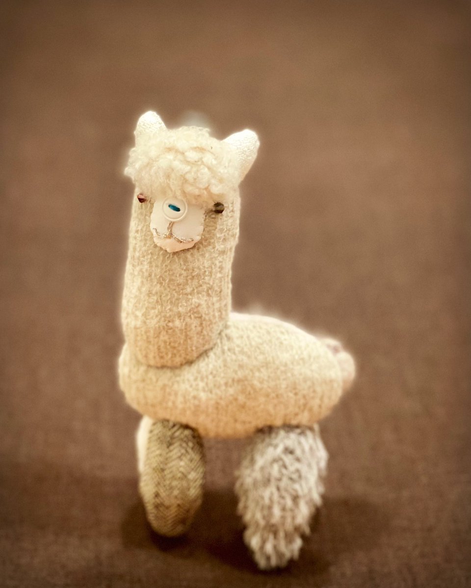 acofuku's tweet photo. アルパカさんの冬支度。

#lepetitcadeau #petitdoll #アルパカ #alpaca #謎モチーフが増えた https://t.co/cUzUXmr6hy