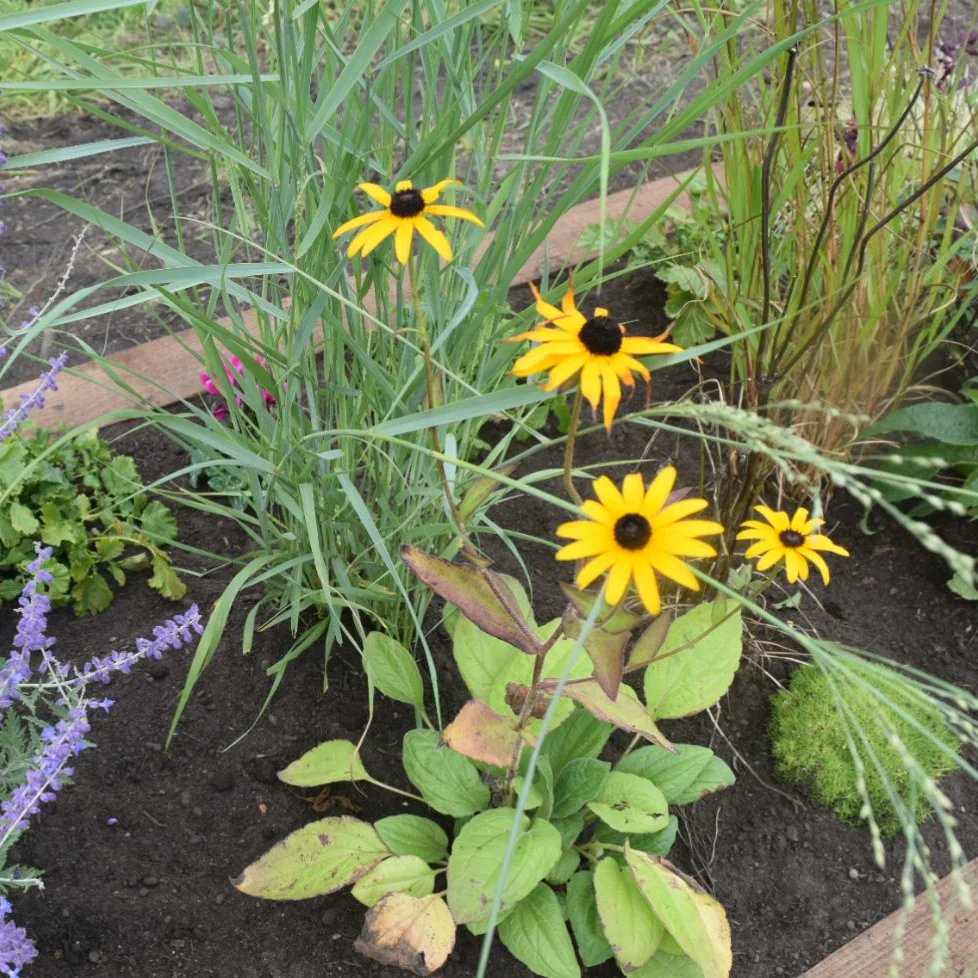 Free Arts&amp;Crafts sessions. October half term. 
Learn more about nature. Deane &amp; Derby Cricket Club. Learn more about our community garden and green space. <a href="/FionaBLees/">Fiona Lees</a>