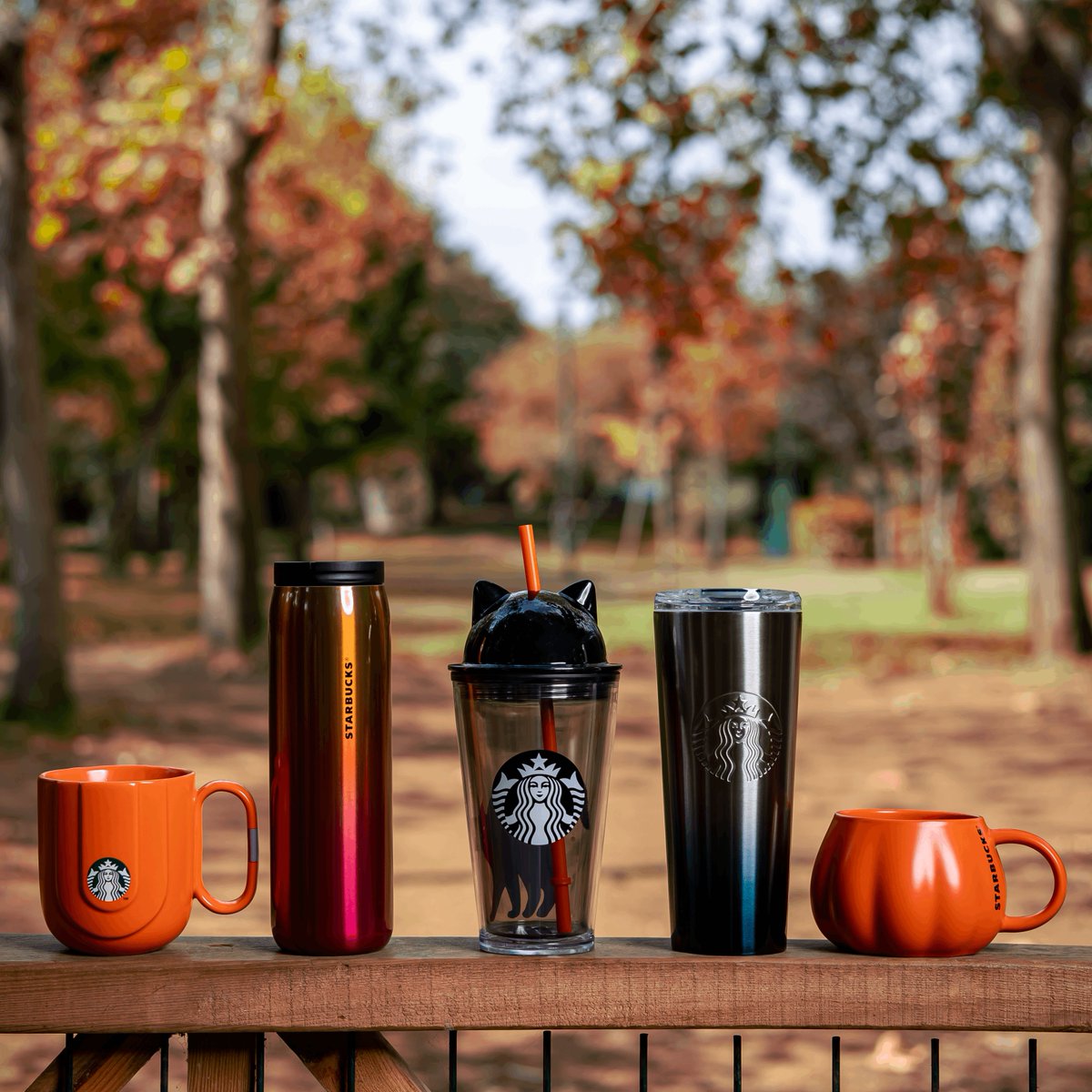 Sonbaharın büyüsünü yansıtan Starbucks® kupa ve termoslar mağazalarımızda seni bekliyor! 🍂☕️