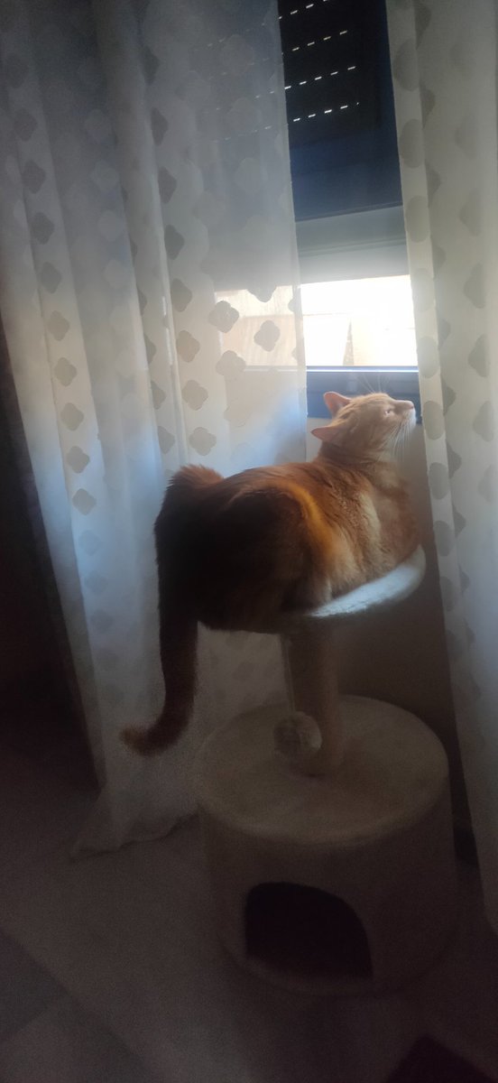 Zaisey's tweet photo. Le puede un buen chismesito jeje https://t.co/2hyaC4Xj2A