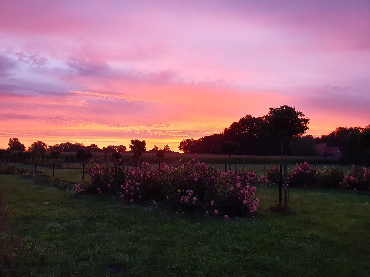 ParadiesMaag's tweet photo. "Mögen der Frühtau auf den Wiesen und der erste Strahl der Morgensonne einen glücklichen Menschen treffen." Irischer Segenswunsch. Habt einen schönen Tag 💗 https://t.co/KSleO5gelF