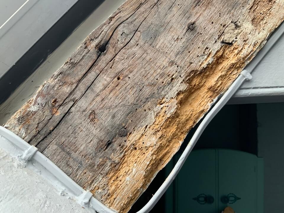 Morgan Sloane tweet media