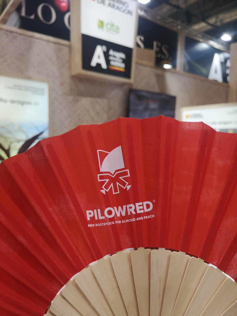 CITAAragon's tweet photo. Comienza @FruitAttraction
Presentamos el portainjerto #PILOWRED para almendro y melocotonero
@aragonalimentos @GobAragon https://t.co/7tgc2qpzGX