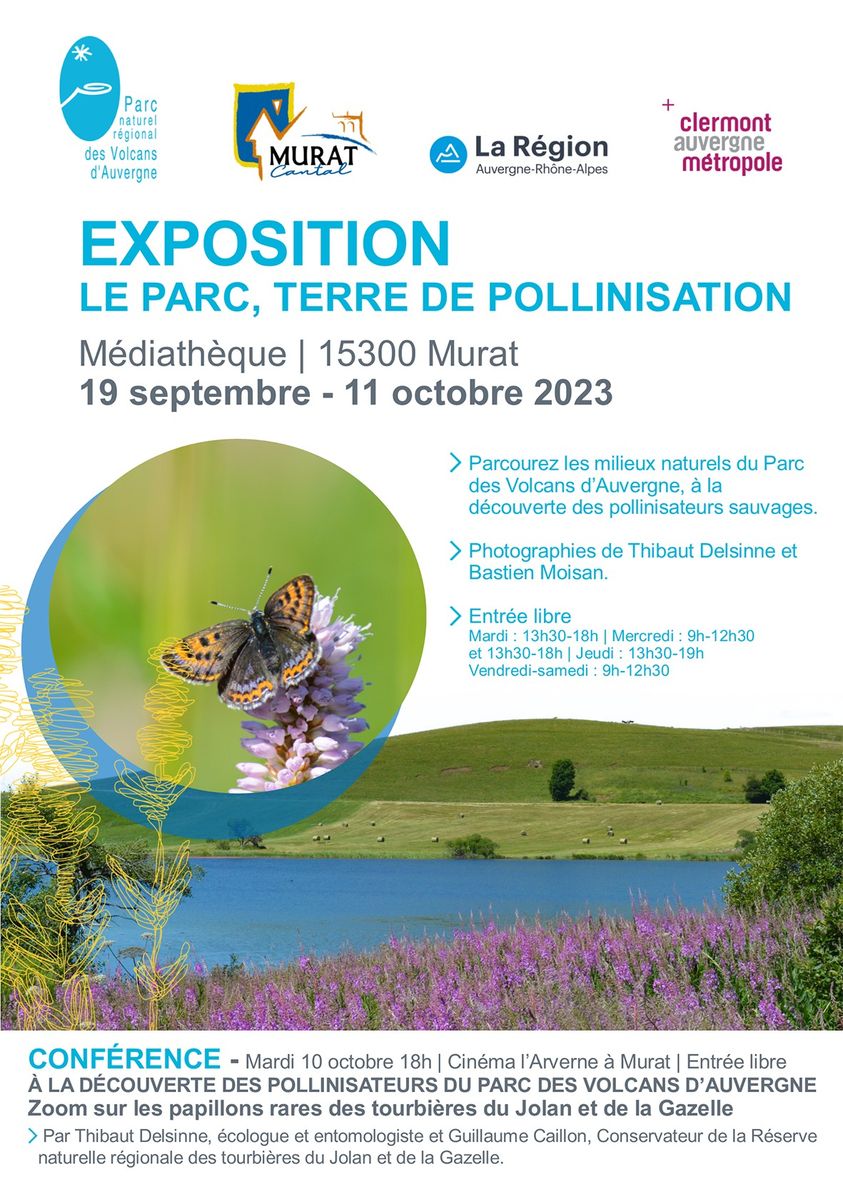 [Expo/conf.] RDV à #Murat jusqu'au 11 octobre pour l'expo sur les #Pollinisateurs sauvages du <a href="/parcvolcans/">Parc des Volcans</a>, et rdv le 10 octobre pour une conférence ! 
👉facebook.com/55132162702433…