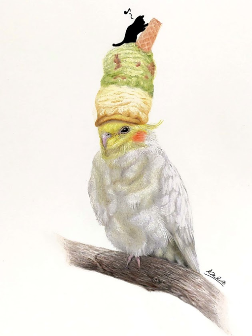 今日も一日お疲れさまでした本日はアイスクリーム帽子のインコさんです。もうアイスクリームの季節ではなくなりちょっと寒いくらいになってきましたね季節変わると一気に来ますね笑#色鉛筆画 #色鉛筆イラスト #インコ #アイスクリーム帽子 #イラスト #art #illustration 
