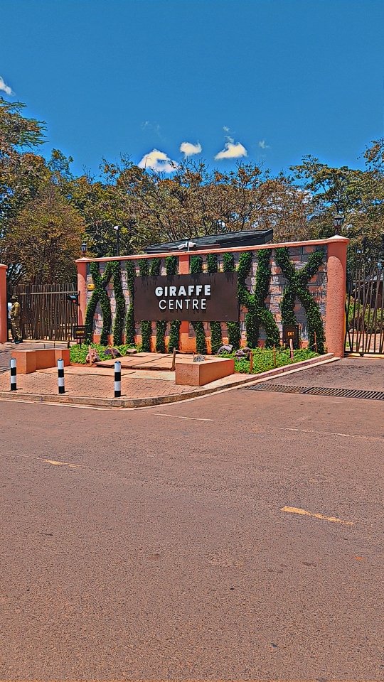 OkechVee's tweet photo. Day 1 @GiraffeCenter for #SustainableDevelopment Workshop on The role of Youths in the Implementation of Sustainable Environmental Comservation and Management #conservationchallenges #environmentalresources #envedu https://t.co/gstp66eje8