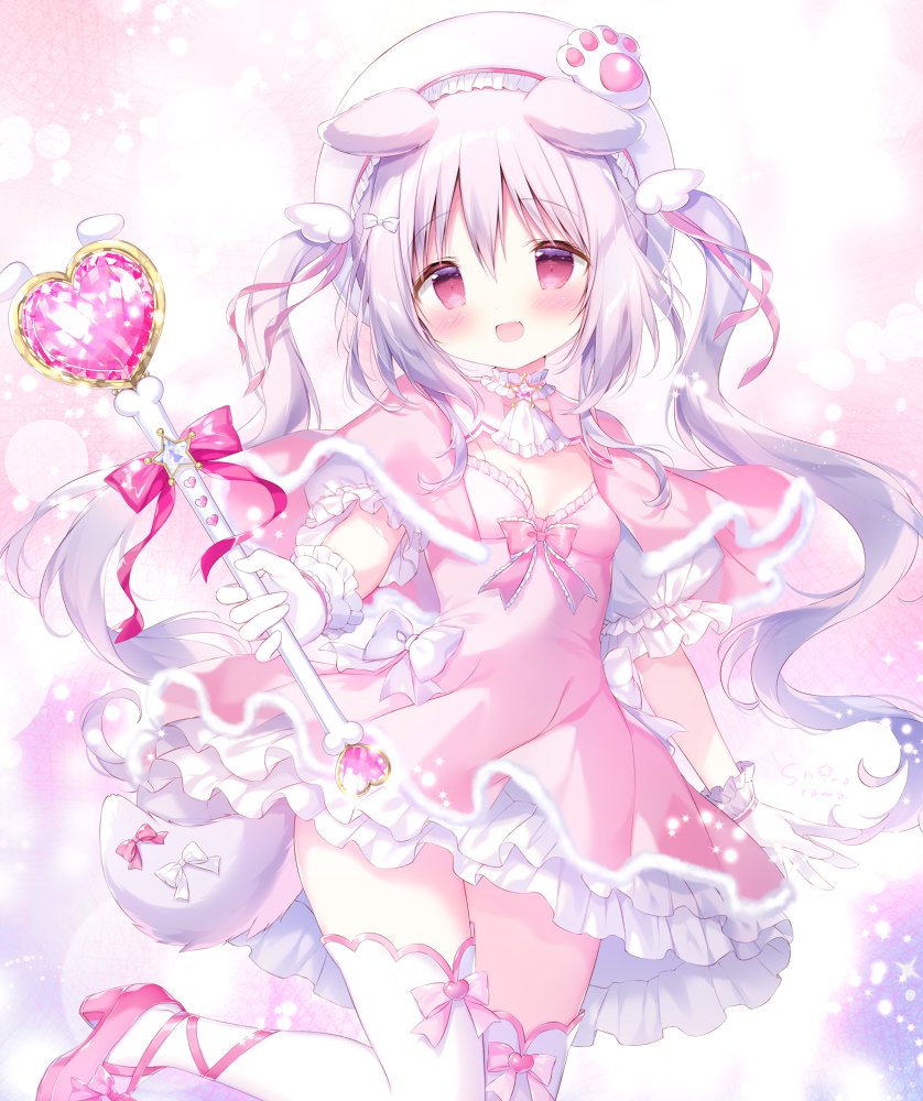 ホワイトマジカルパピー❕🤍🦴