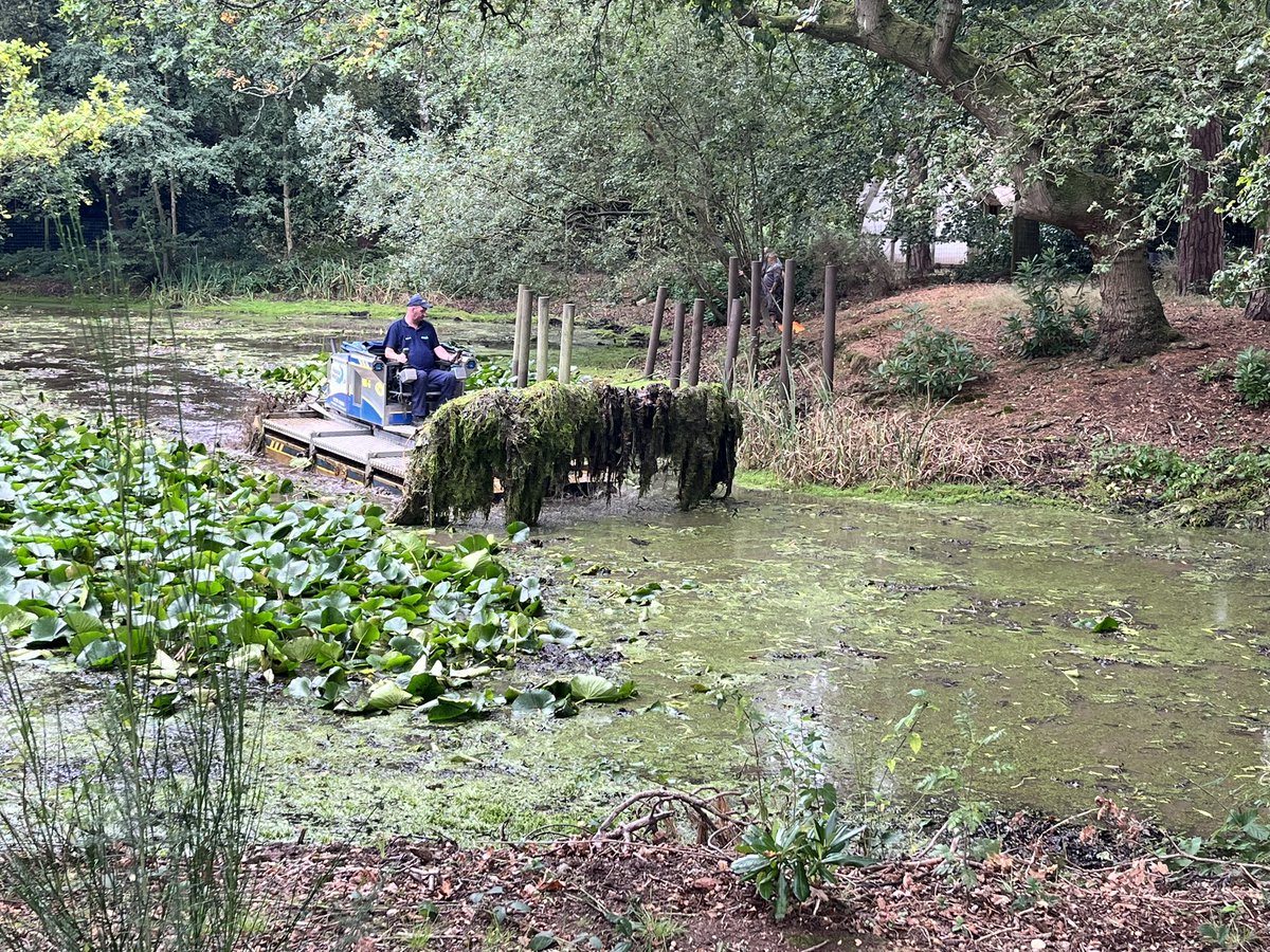 EHGoldenEagle's tweet photo. We are always developing our outdoor learning area. Today the children were mesmerised by the dredging of the lake. #outdoors #Outdoorlearning @EagleHouseSch https://t.co/FFlvuQRzxu