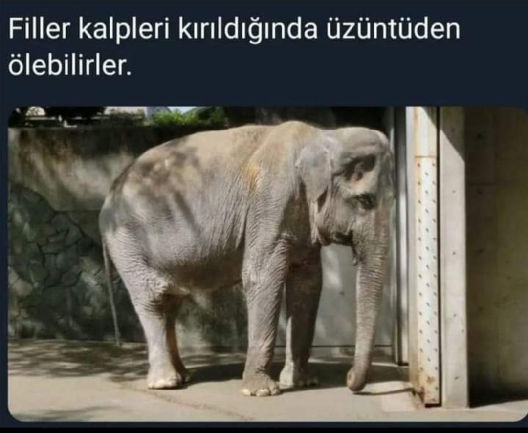 Ben de filmişim meğer. Değer verdiğim biri kalbimi kırınca üzüntüden ölecek gibi oluyorum...