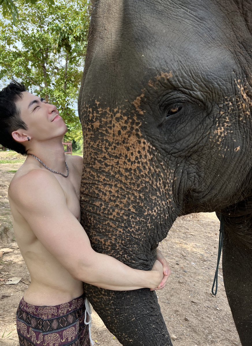 🐘～🐘～為什麼你的