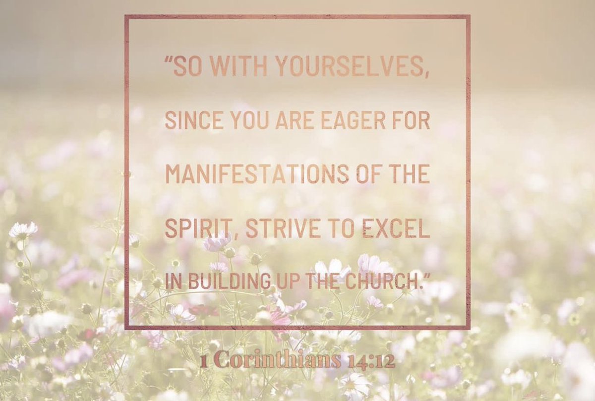 SonofBinta (@bintasonof16453) on Twitter photo 