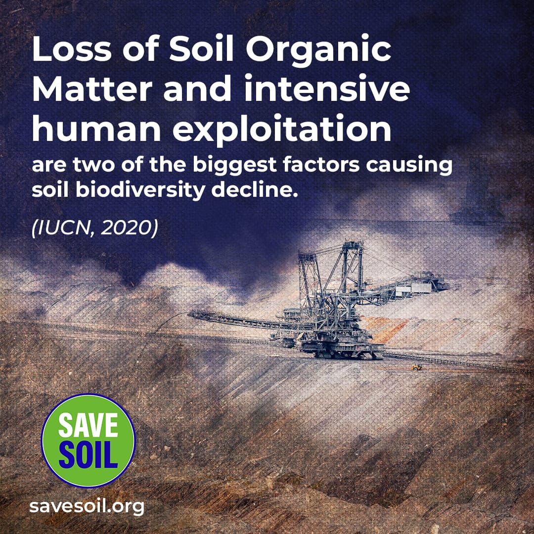 #Pollution of any kind is bad for #environment but #SoilPollution is #Worst as it enters the #Food,#Water & #Air systems!

#SaveSoil Let's Make it Happen!
#SaveSoilMovement
#ConsciousPlanet

@SadhguruJV @cpsavesoil @FAO

Action Now: savesoil.org